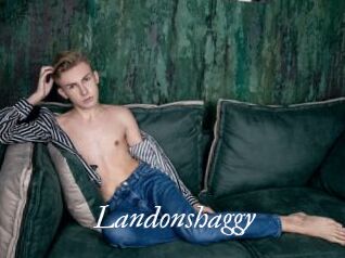Landonshaggy