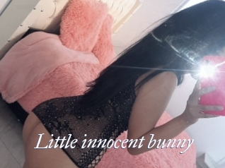 Little_innocent_bunny