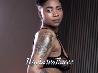 Luciawallacee