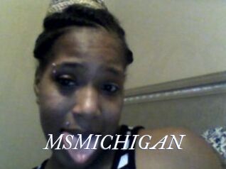 MSMICHIGAN