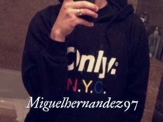 Miguel_hernandez97