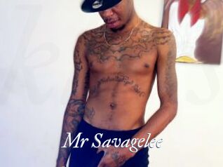 Mr_Savagelee