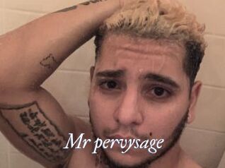 Mr_pervysage