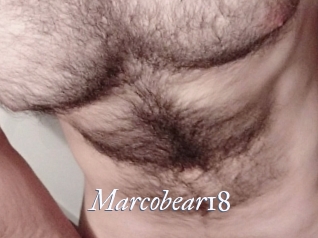 Marcobear18