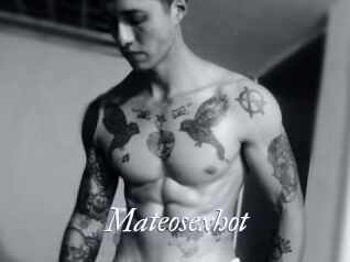 Mateosexhot