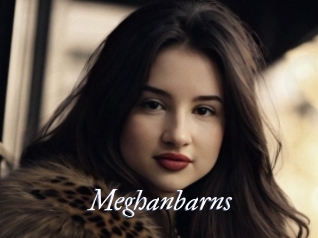 Meghanbarns