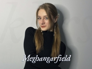 Meghangarfield