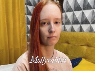 Mollyrabbit