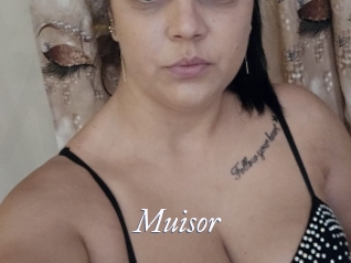 Muisor