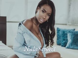 NalaSejmet