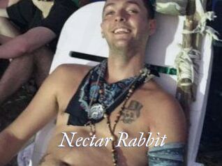 Nectar_Rabbit