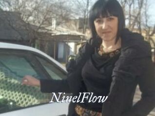 NinelFlow