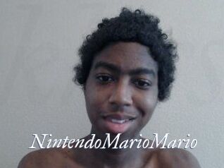 NintendoMarioMario