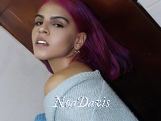 NoaDavis