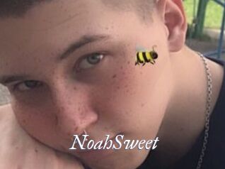 NoahSweet