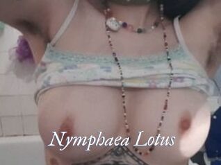 Nymphaea_Lotus