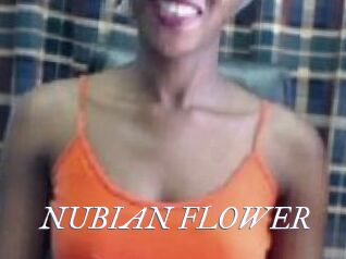 _NUBIAN_FLOWER_