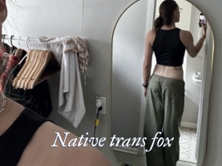 Native_trans_fox