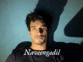 Naveengadil