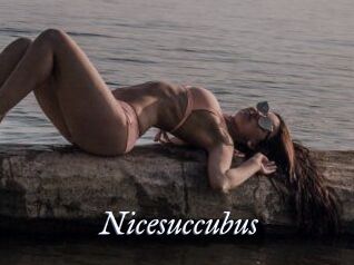 Nicesuccubus