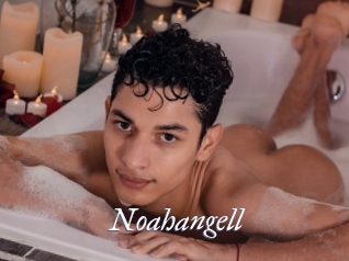 Noahangell