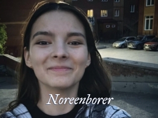 Noreenborer