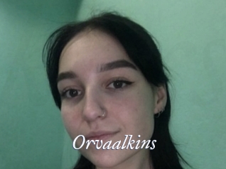 Orvaalkins