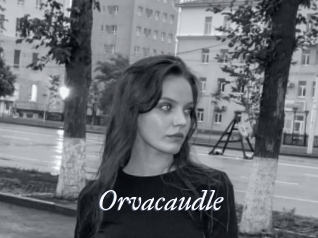 Orvacaudle