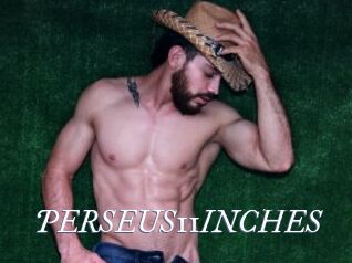 PERSEUS11INCHES