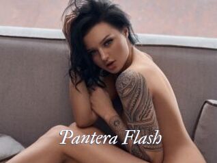 Pantera_Flash