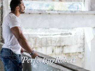 PerfectguyRobert