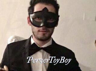 PerverToyBoy