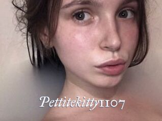 Pettitekitty1107