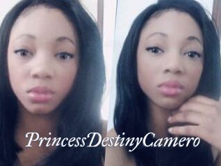 PrincessDestinyCamero