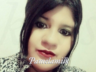 Pamelasuite