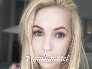 Pamelamodel