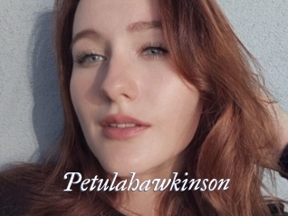 Petulahawkinson