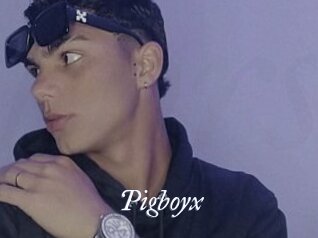 Pigboyx