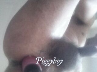 Piggyboy