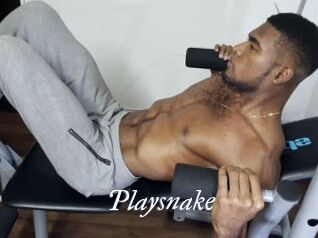 Playsnake