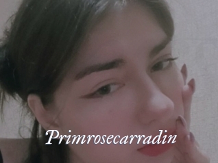 Primrosecarradin