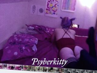 Psyberkitty