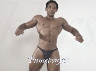 Pumebonyfit