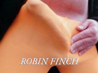 ROBIN_FINCH