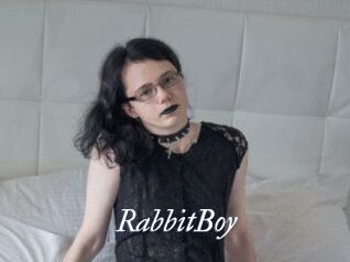 RabbitBoy