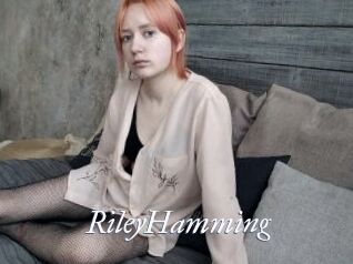 RileyHamming