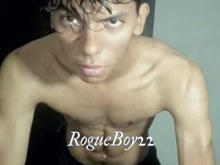 RogueBoy22