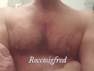 Roccosigfred