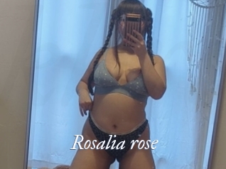 Rosalia_rose