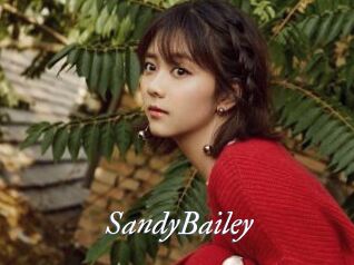 SandyBailey